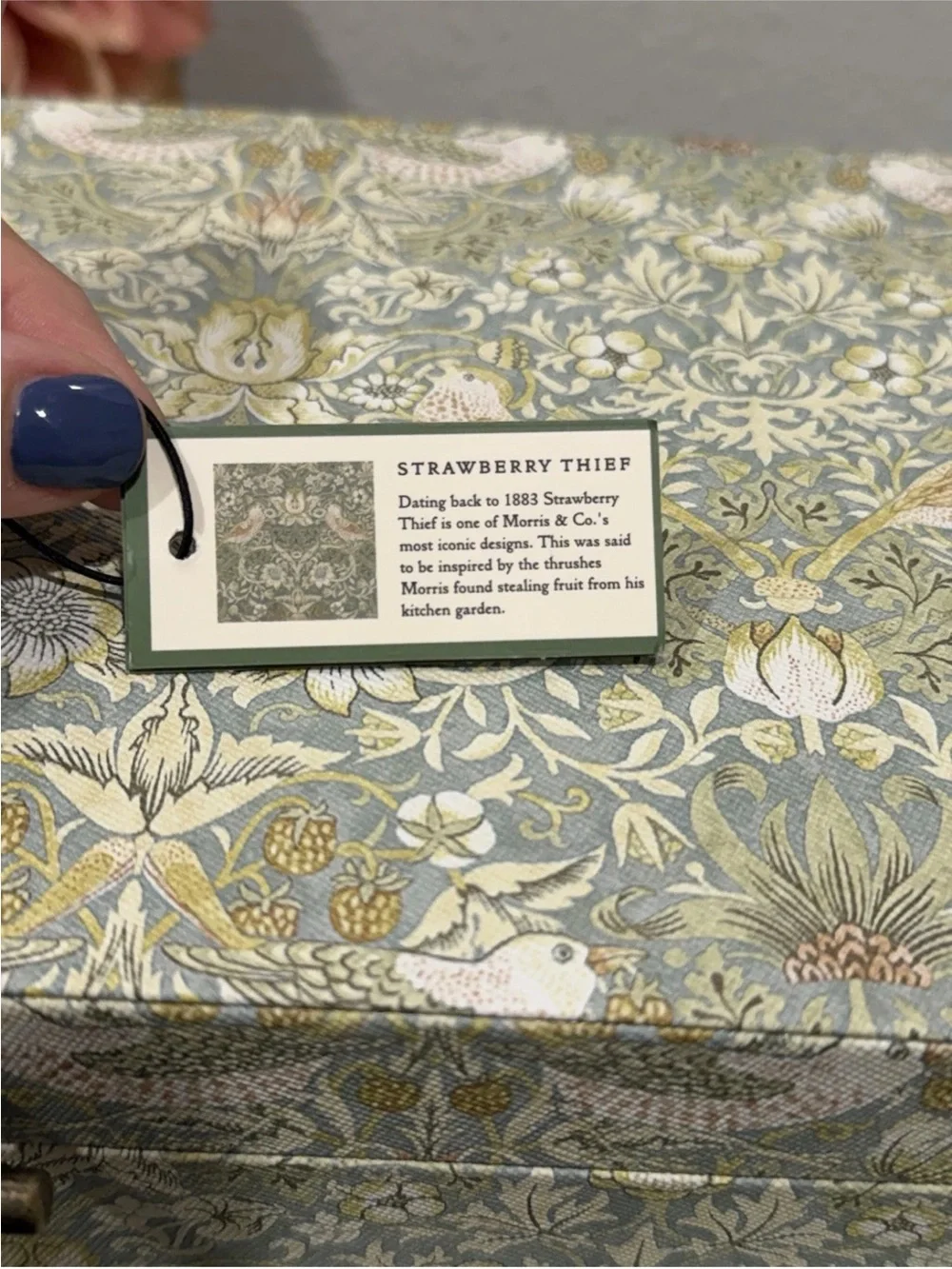 Morris & Co. morris co